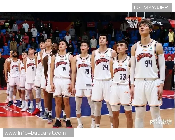 新民体育分析上海男篮迎来历史最佳夺冠时机的深度解读